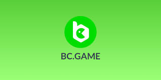 BC.Game Review 2024: Is BC.Game Gambling Establishment Legit  & Safe?